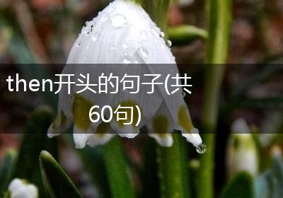 then开头的句子(共60句)