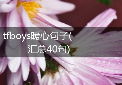 tfboys暖心句子(汇总40句)