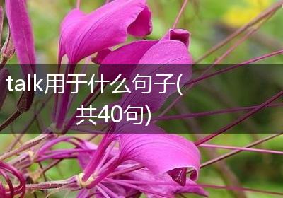 talk用于什么句子(共40句)