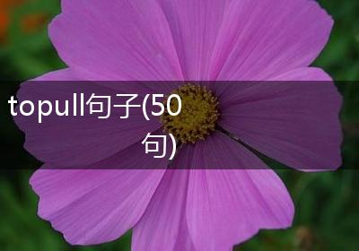 topull句子(50句)