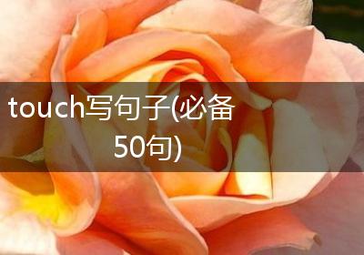 touch写句子(必备50句)