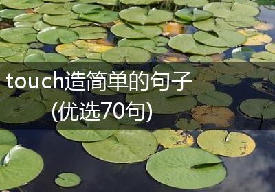 touch造简单的句子(优选70句)
