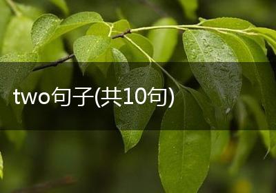two句子(共10句)
