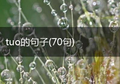 tuo的句子(70句)