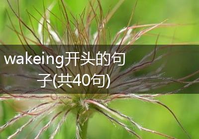 wakeing开头的句子(共40句)