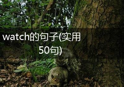 watch的句子(实用50句)