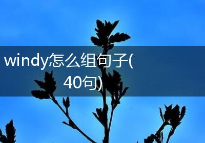 windy怎么组句子(40句)