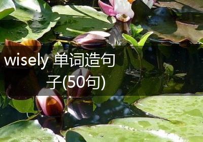 wisely 单词造句子(50句)