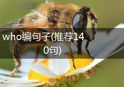 who编句子(推荐140句)