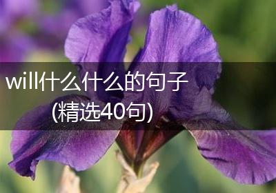 will什么什么的句子(精选40句)