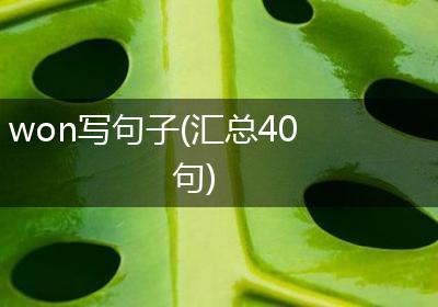 won写句子(汇总40句)