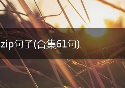 zip句子(合集61句)