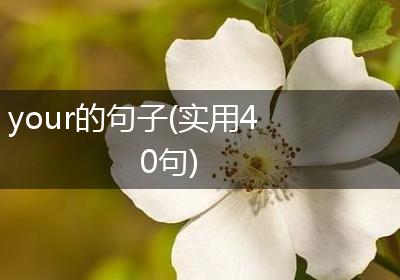 your的句子(实用40句)