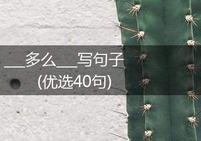 ___多么___写句子(优选40句)