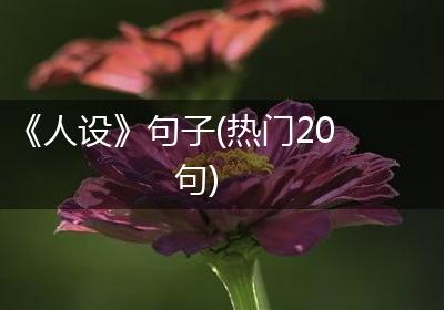 《人设》句子(热门20句)