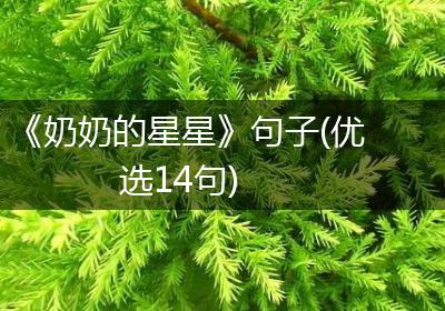 《奶奶的星星》句子(优选14句)
