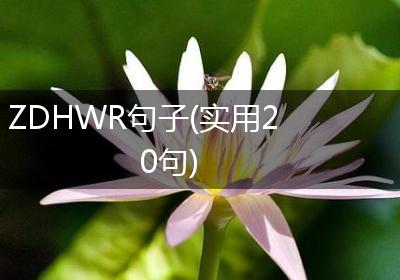 ZDHWR句子(实用20句)