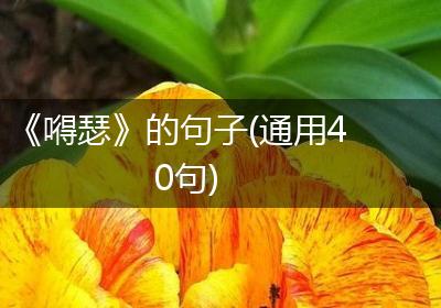 《嘚瑟》的句子(通用40句)
