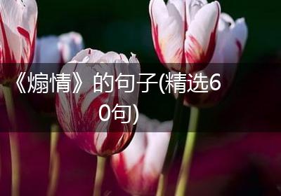 《煽情》的句子(精选60句)