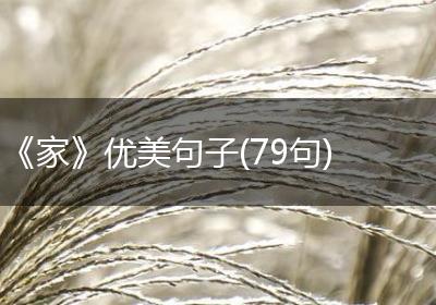 《家》优美句子(79句)