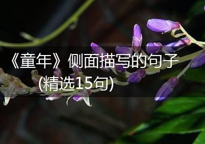 《童年》侧面描写的句子(精选15句)