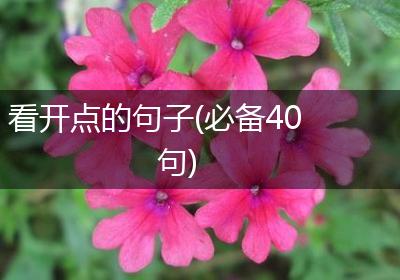 看开点的句子(必备40句)