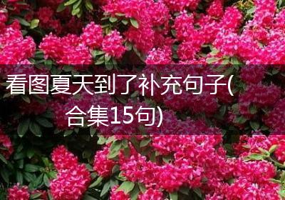 看图夏天到了补充句子(合集15句)