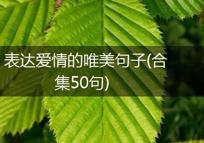 表达爱情的唯美句子(合集50句)