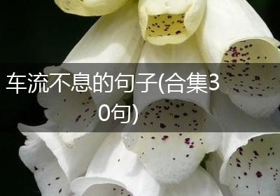 车流不息的句子(合集30句)