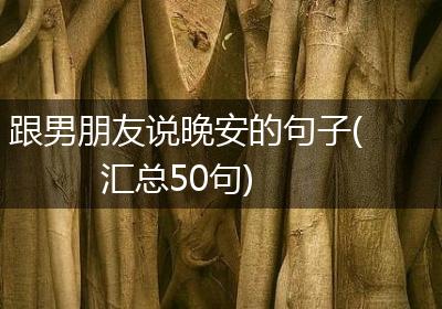 跟男朋友说晚安的句子(汇总50句)