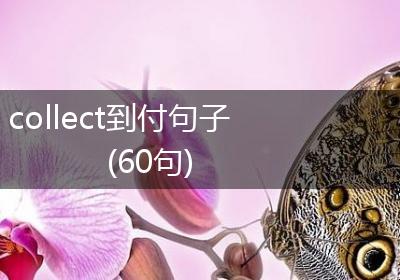 collect到付句子(60句)