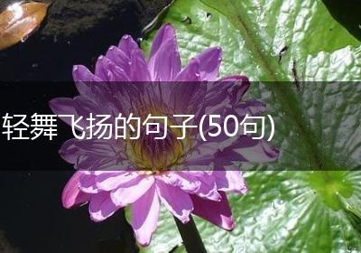 轻舞飞扬的句子(50句)