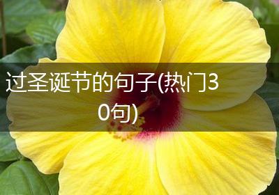过圣诞节的句子(热门30句)
