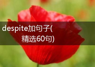 despite加句子(精选60句)