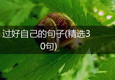 过好自己的句子(精选30句)