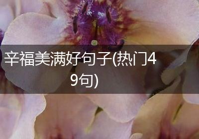 辛福美满好句子(热门49句)