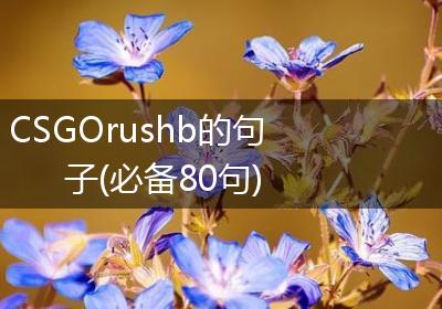 CSGOrushb的句子(必备80句)