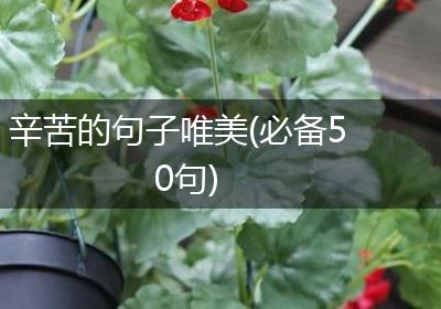 辛苦的句子唯美(必备50句)