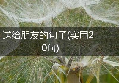 送给朋友的句子(实用20句)
