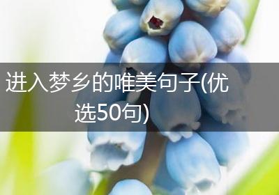 进入梦乡的唯美句子(优选50句)