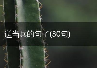 送当兵的句子(30句)