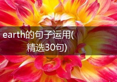 earth的句子运用(精选30句)