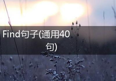 Find句子(通用40句)