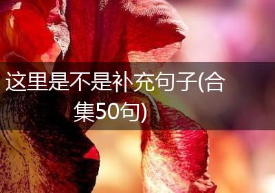 这里是不是补充句子(合集50句)