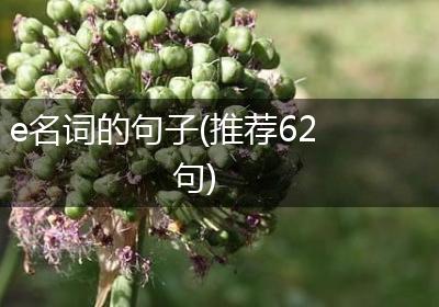 e名词的句子(推荐62句)
