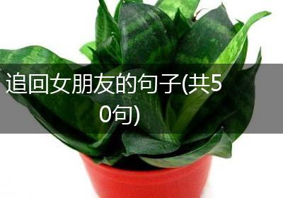 追回女朋友的句子(共50句)