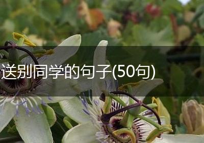 送别同学的句子(50句)