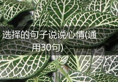 选择的句子说说心情(通用30句)