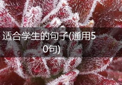 适合学生的句子(通用50句)