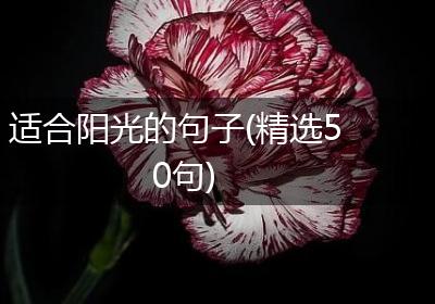 适合阳光的句子(精选50句)